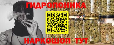 крисы Бузулук