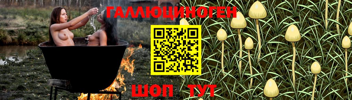 Псилоцибиновые грибы Cubensis Холмск