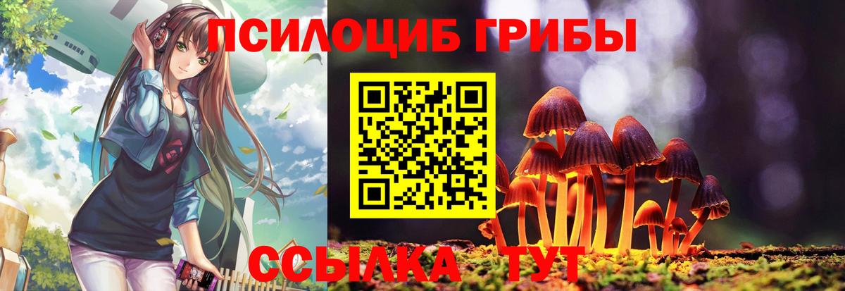 Псилоцибиновые грибы MAGIC MUSHROOMS  Вход с VPN  продажа наркотиков  Холмск 
